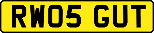 RW05GUT
