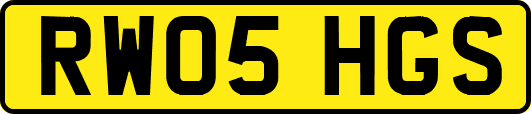RW05HGS