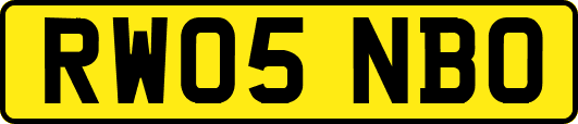 RW05NBO