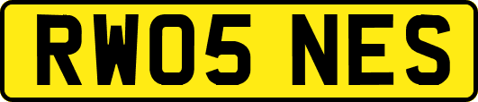 RW05NES