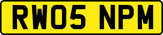 RW05NPM