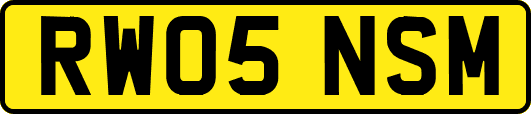 RW05NSM