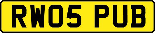 RW05PUB
