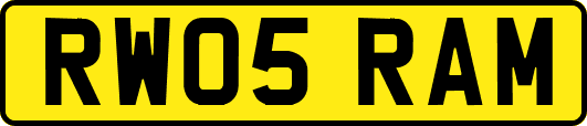 RW05RAM