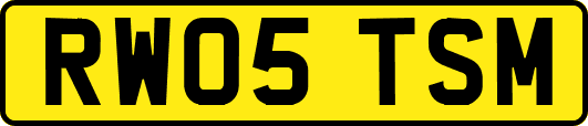 RW05TSM