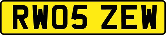 RW05ZEW