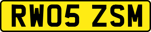 RW05ZSM