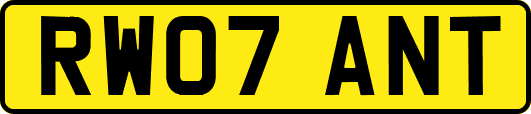 RW07ANT