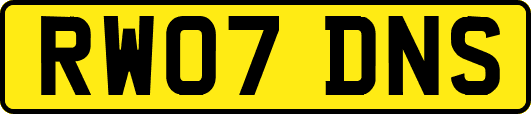 RW07DNS