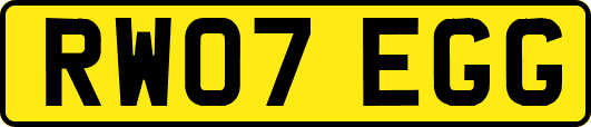 RW07EGG