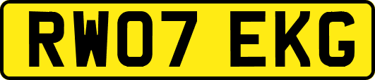 RW07EKG