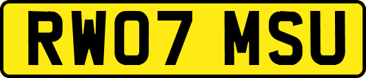 RW07MSU