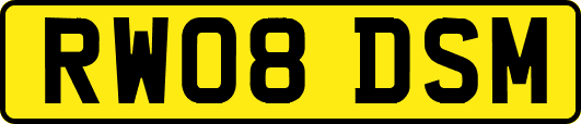 RW08DSM