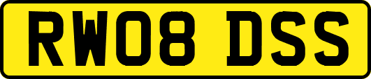 RW08DSS
