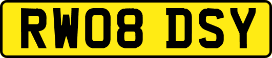 RW08DSY