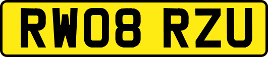 RW08RZU