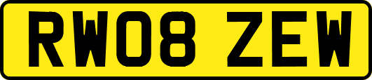RW08ZEW