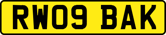 RW09BAK