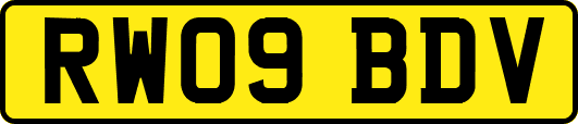 RW09BDV