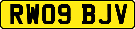 RW09BJV