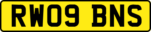RW09BNS