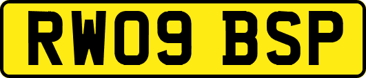 RW09BSP