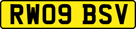 RW09BSV