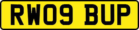 RW09BUP