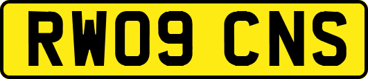 RW09CNS