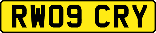 RW09CRY