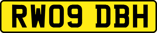 RW09DBH