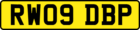 RW09DBP