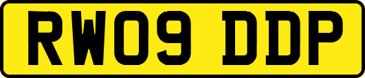 RW09DDP