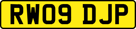 RW09DJP