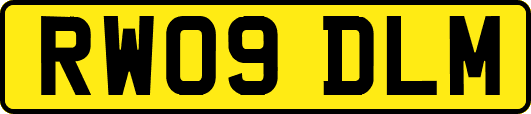 RW09DLM