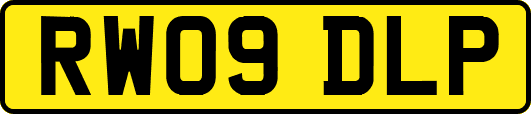 RW09DLP