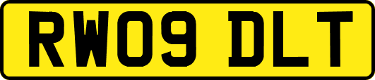 RW09DLT