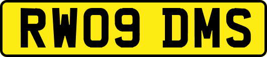 RW09DMS