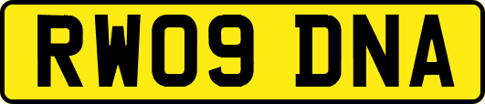 RW09DNA