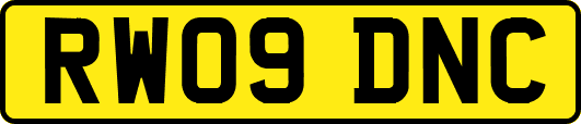 RW09DNC