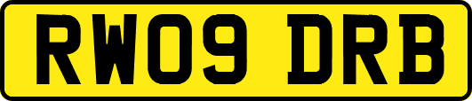 RW09DRB