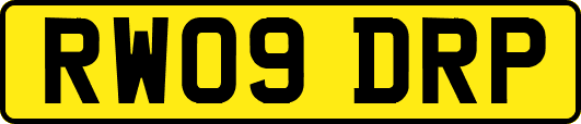 RW09DRP
