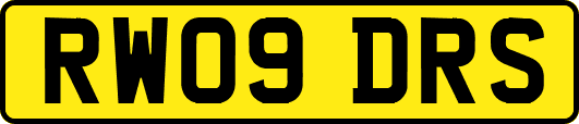 RW09DRS