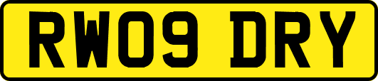 RW09DRY