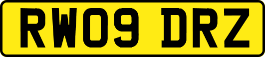 RW09DRZ