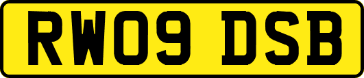 RW09DSB
