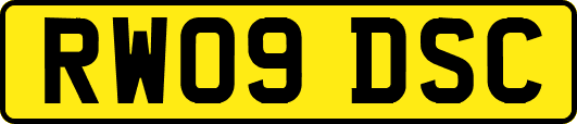 RW09DSC