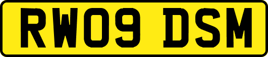 RW09DSM