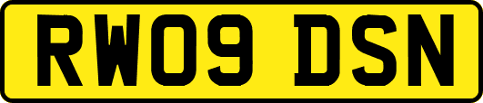 RW09DSN