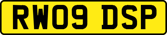RW09DSP